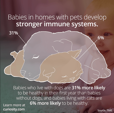 baby immunity improves with dog