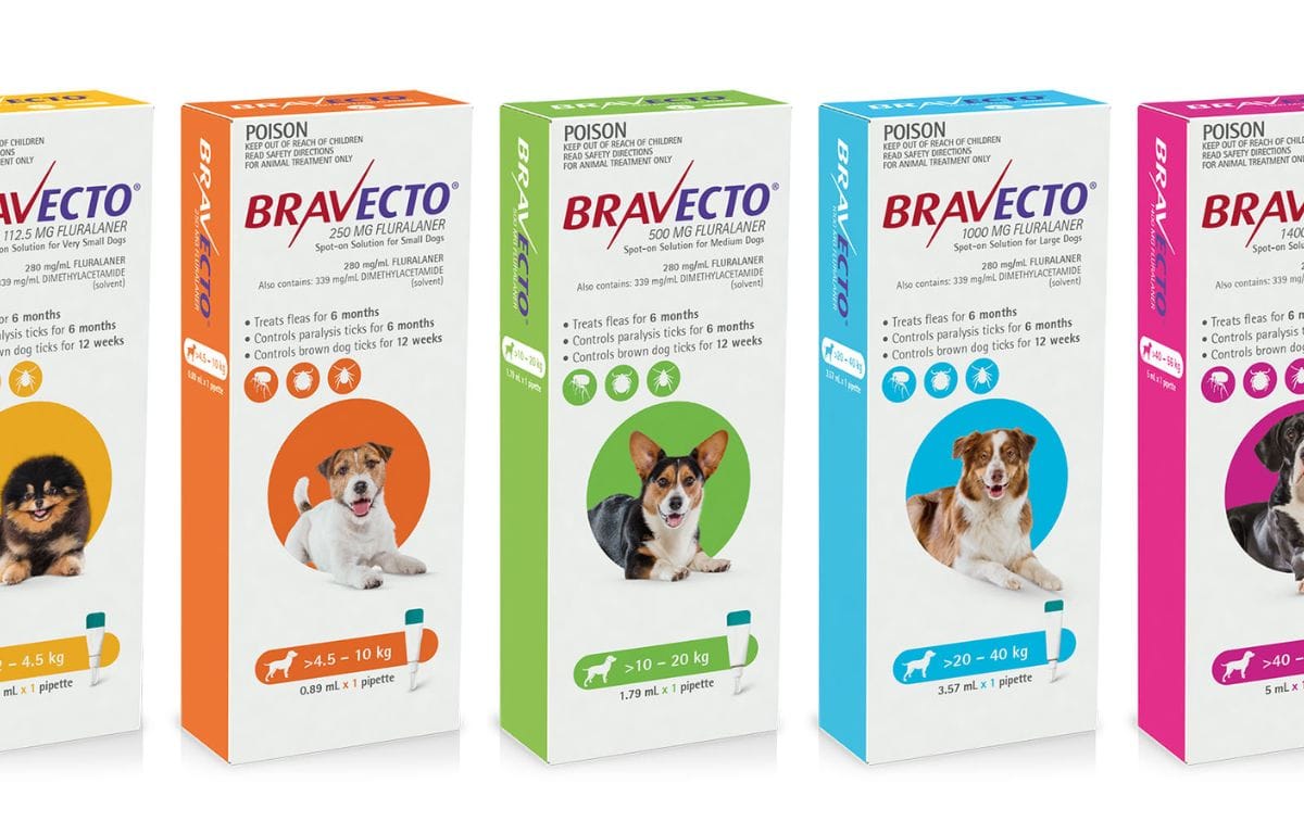Bravecto for Dogs: The 12-Week Flea and Tick Solution