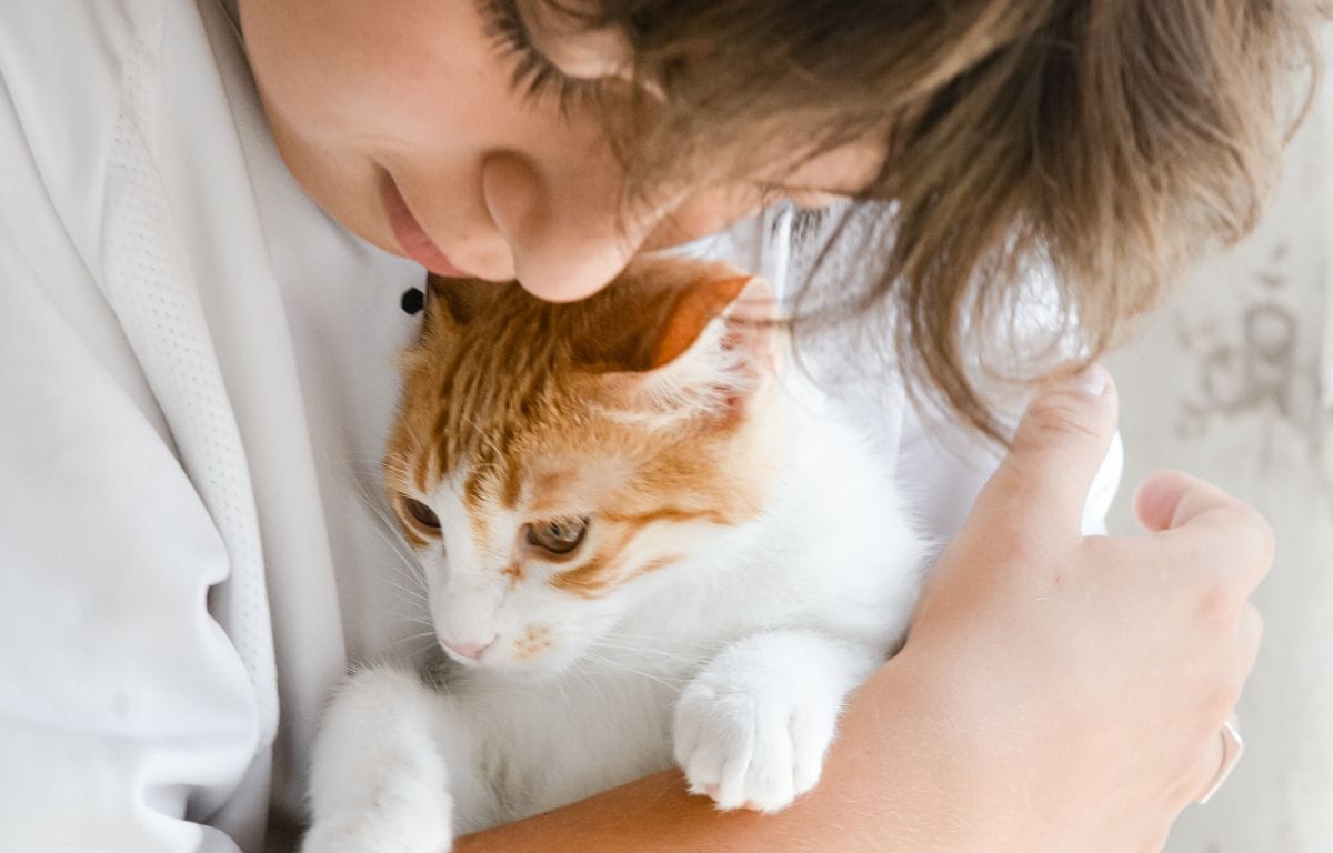 Celebrating International Cat Day: The Delightful World of Feline Companionship