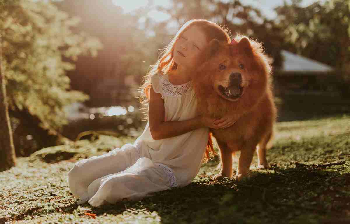chow chow dog price in India