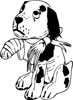 Injured dog