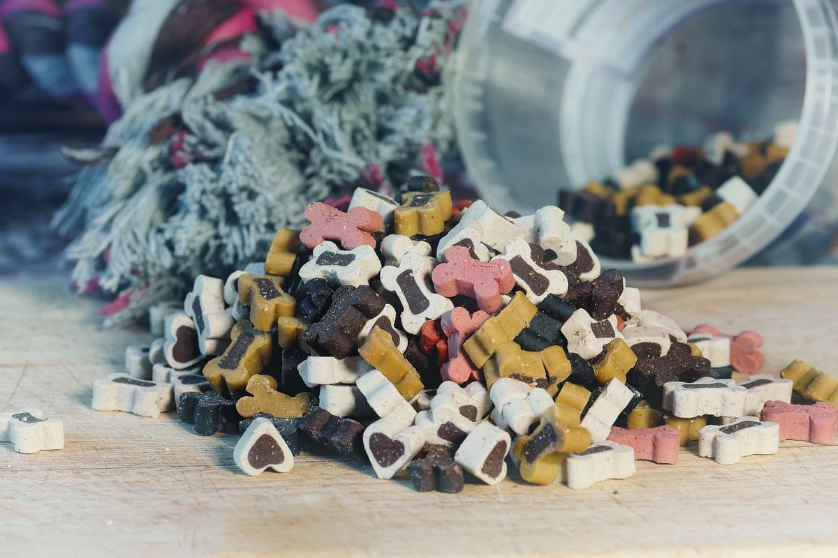 Top 5 Best Dog Food Brands In India