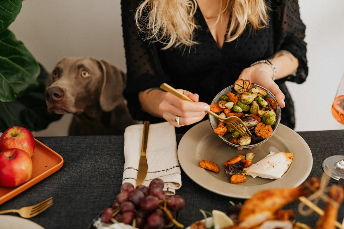 A dog watching eagerly as a person holds a bowl of vegetables