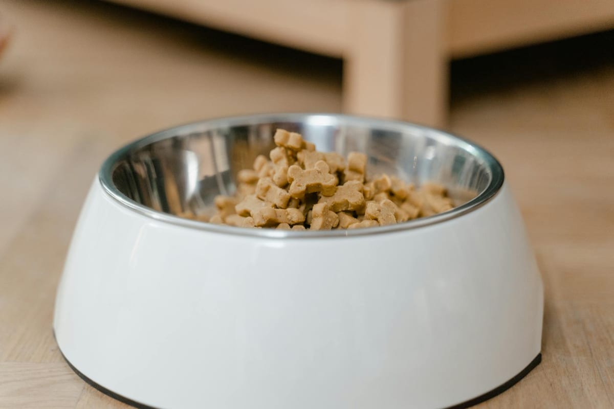 A bowl of fresh homemade dog food ingredients
