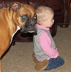 pet with children