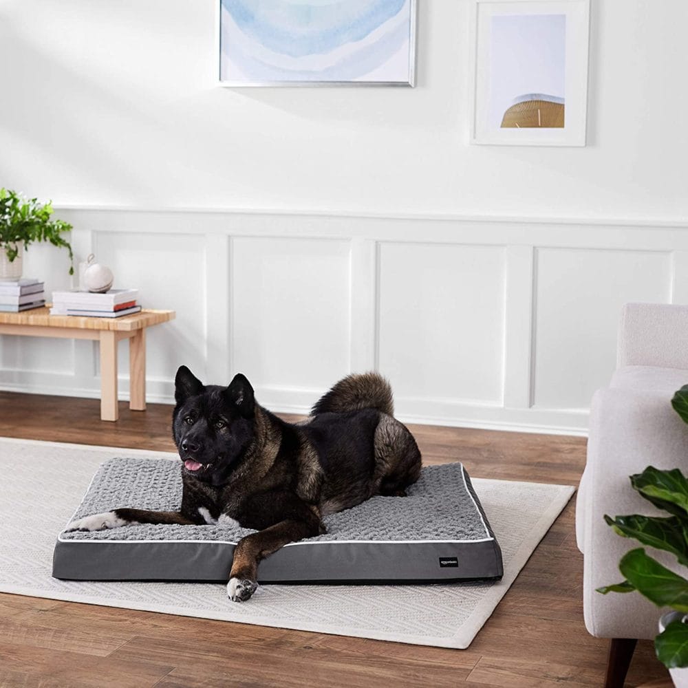 dog beds amazon