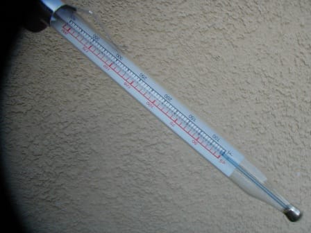 dog bath water temperature