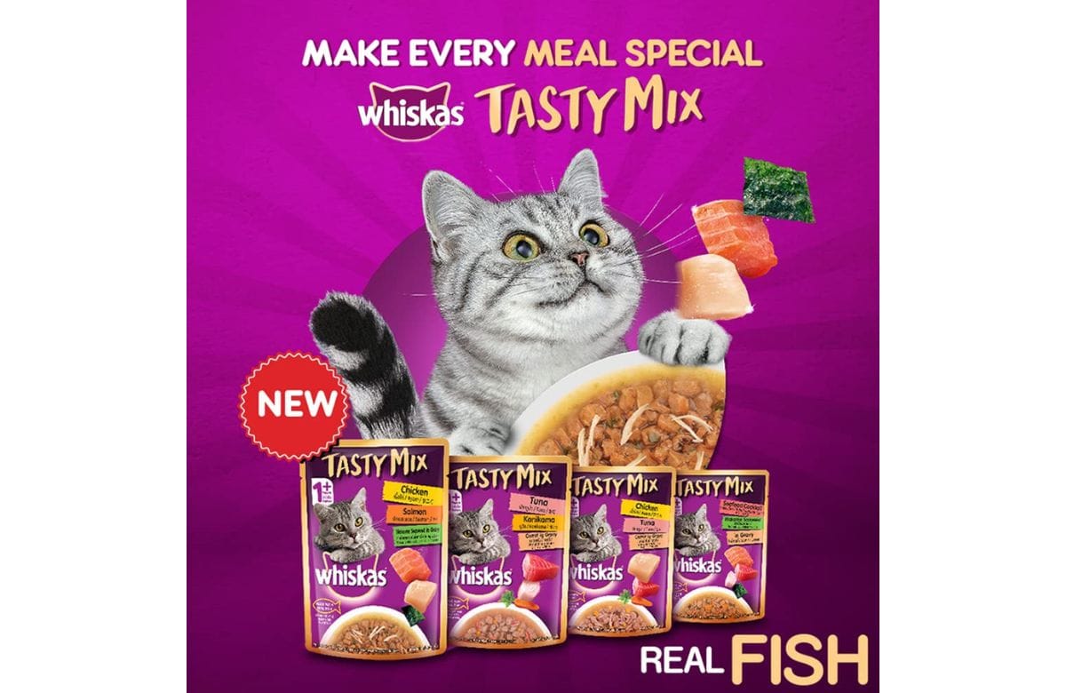 whiskas wet cat food