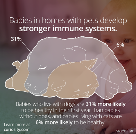 Another reason to get a dog if you have a baby at home