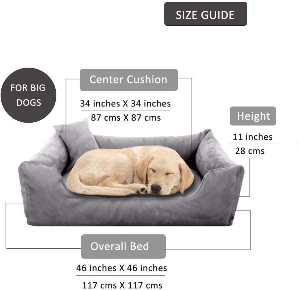 dogs bed large online