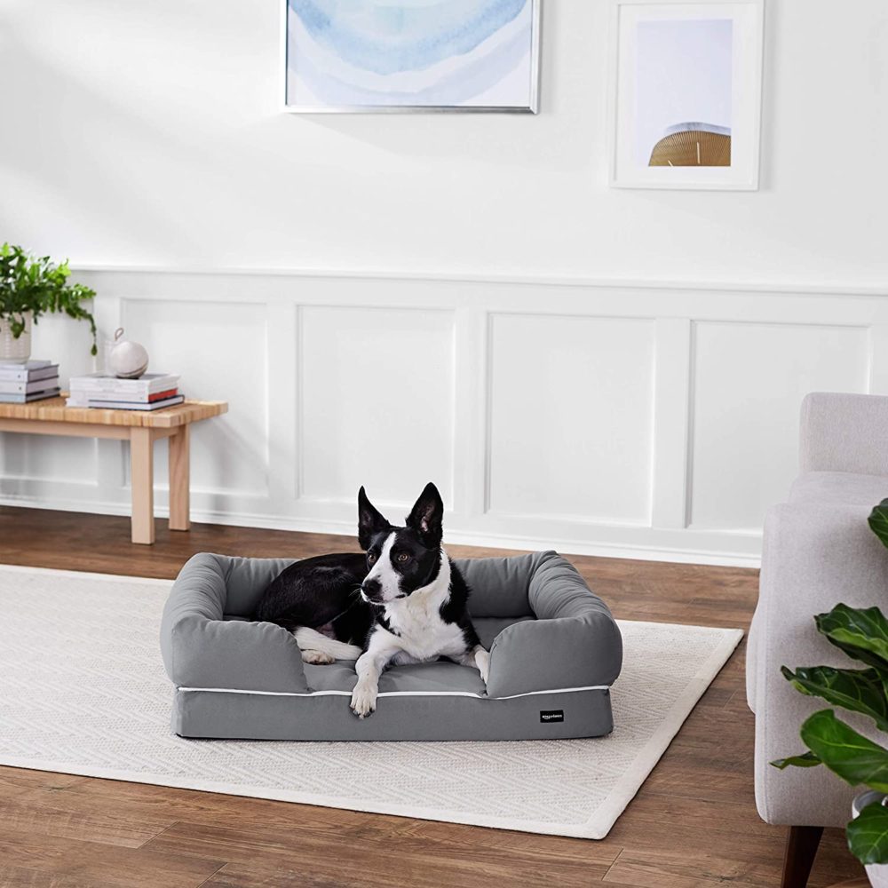 dogs beds online