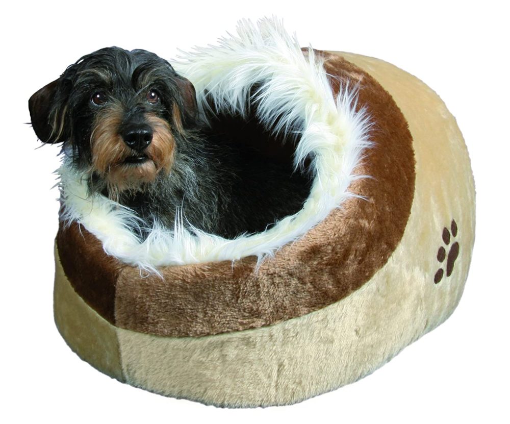 small dogs bed online