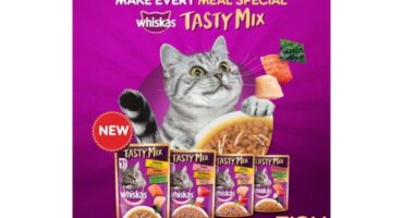 Whiskas Wet Cat Food Review