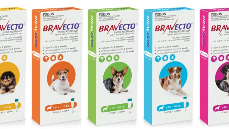 Bravecto for Dogs: The 12-Week Flea and Tick Solution