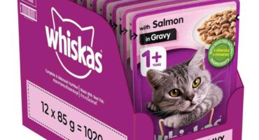 Top 5 Reasons Veterinarians and Cats Agree on Whiskas Cat Food