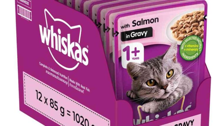 Top 5 Reasons Veterinarians and Cats Agree on Whiskas Cat Food